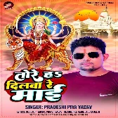 Tore Ha Dilwa Re Maai (Pradeshi Piya Yadav)