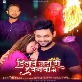 Dilwe Jara Di Hawanwa Me (Ankush Raja)