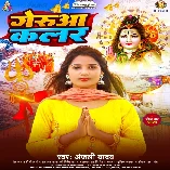 Jai Jai Mahakal Pukar Ke Nacha Tare Bam Jalwa Dhar Ke