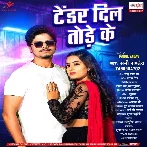 Tender Dil Tode Ke (Sunny Pandey) 2024 Mp3 Song