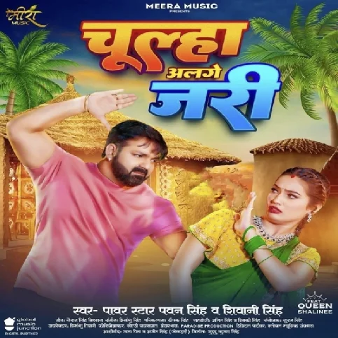 Chulha Alage Jari (Pawan Singh, Shivani Singh) 2024 Mp3 Song