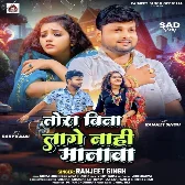 Tora Bina Lage Nahi Manawa (Ranjeet Singh) 2024 Mp3 Song 