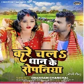 Kare Chala Dhaan Ke Ropaniya (Chandan Chanchal) 2024 Mp3 Song 